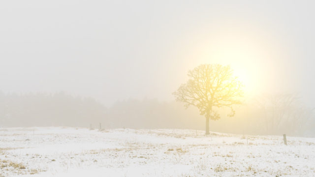Land Hair ランドヘアー 美容室 札幌市 中央区 円山 西28丁目